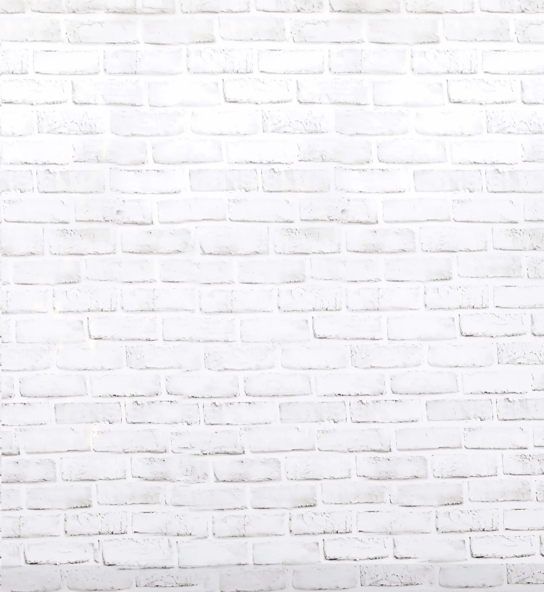 Patissiere professionnelle utilisant ProCake pour gerer son activite